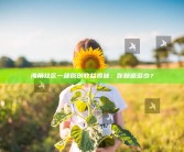 海角社区一部原创收益揭秘：你知道多少？