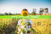 海角社区一部原创收益揭秘：你知道多少？