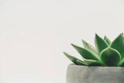 海角社区最新官网版: 提升社交体验的新功能上线