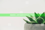 海角最新hj: 探索海角的奇妙风光与文化魅力