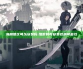海角禁区可以安装吗:探索其可安装性的可能性