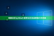海角社区hj38o2: 探索社区生活的魅力与特色