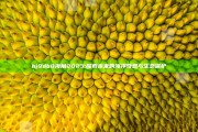 hj9db8海角2023: 探索未来的海洋奇观与生态保护