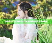 海角社区入口官方网: 探索海角社区全新体验