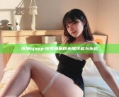 海角hjapp: 探索海角的无限可能与乐趣