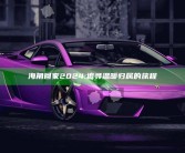 海角回家2024: 追寻温暖归属的旅程