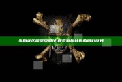 海角社区网页版网址: 探索海角社区的精彩世界
