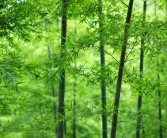 海角社区官方新版本:全新升级，畅享社区精彩体验