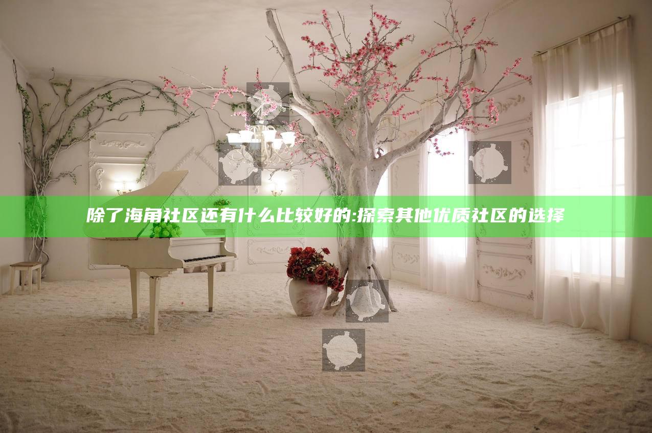 除了海角社区还有什么比较好的:探索其他优质社区的选择