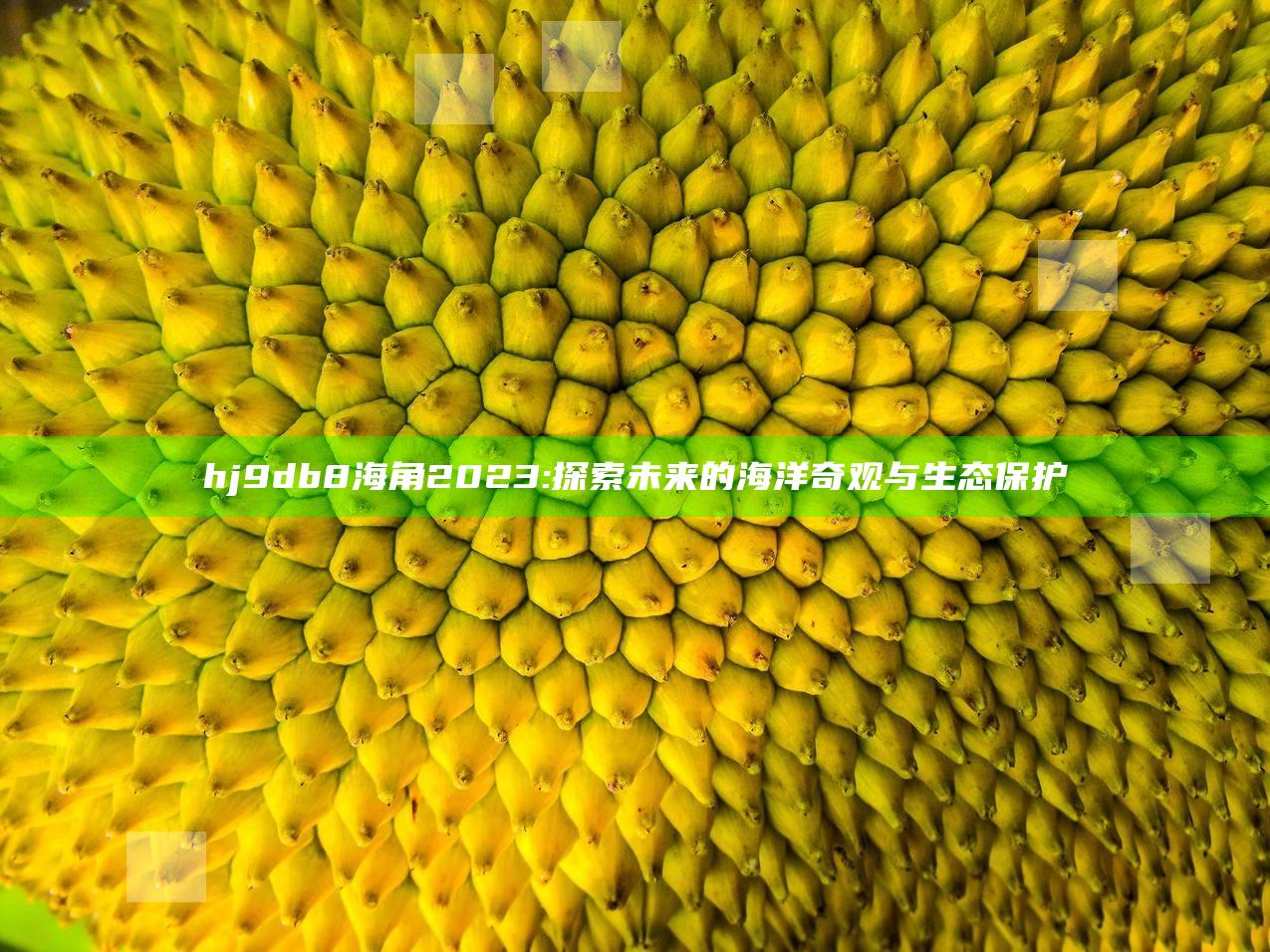 hj9db8海角2023: 探索未来的海洋奇观与生态保护