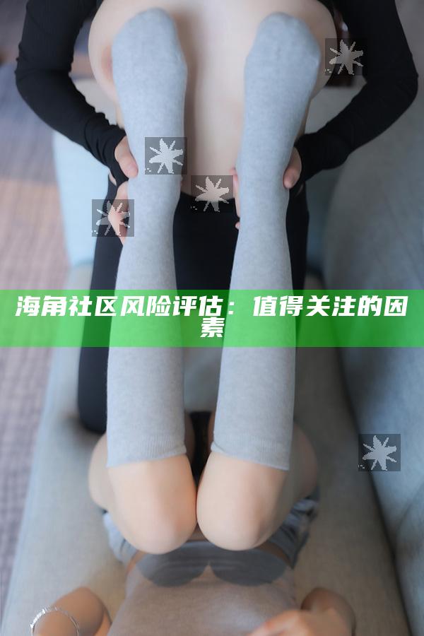 海角社区风险评估：值得关注的要素