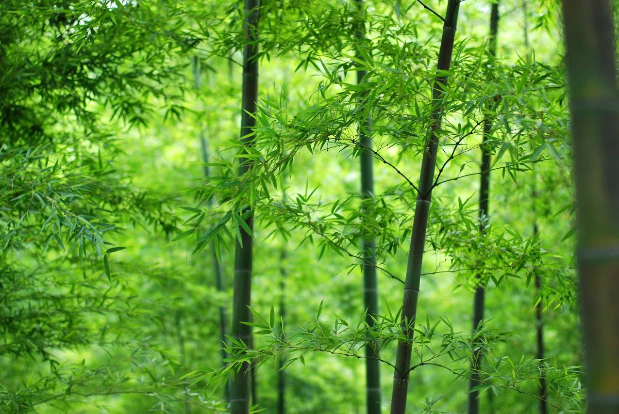海角社区官方新版本:全新升级，畅享社区精彩体验